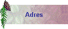 Adres