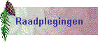Raadplegingen